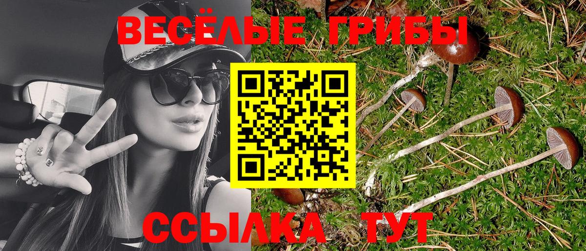 Йошкар-Ола  как найти закладки  Вход с VPN  Галлюциногенные грибы ЛСД  Псилоцибиновые грибы GOLDEN TEACHER 