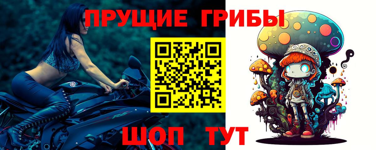 Псилоцибиновые грибы Psilocybine cubensis Йошкар-Ола